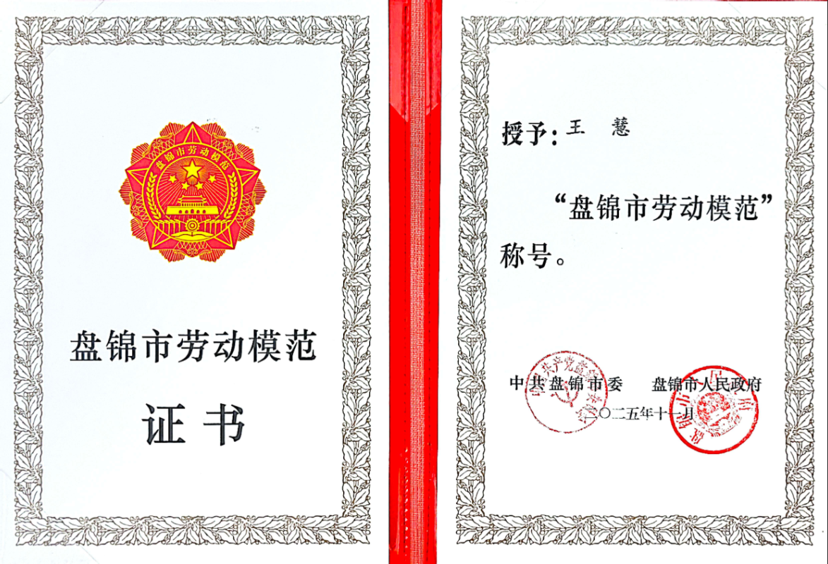 k豆钱包官方网站 - KDpay钱包