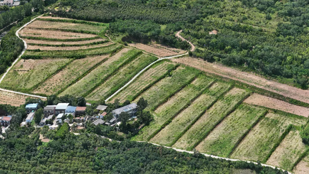 k豆钱包官方网站 - KDpay钱包