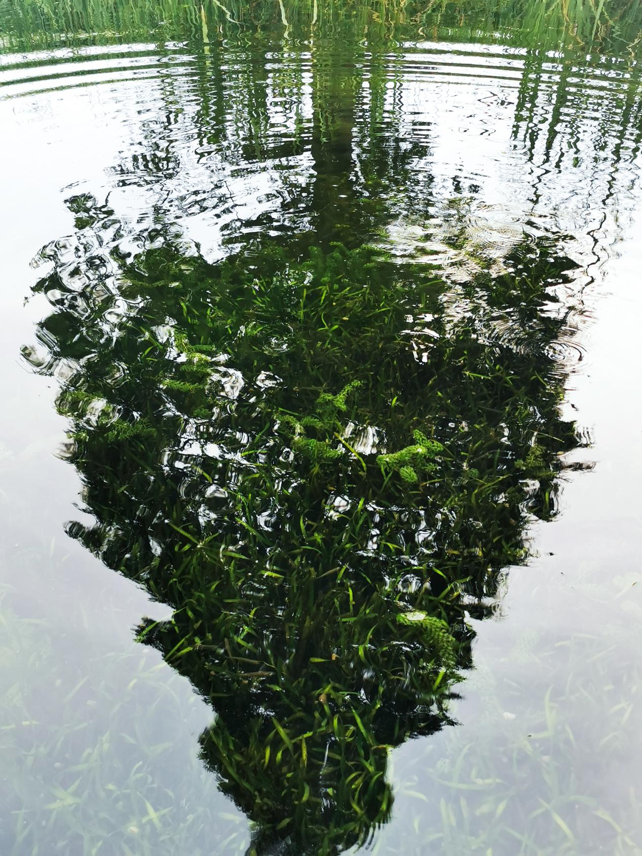 k豆钱包官方网站 - KDpay钱包