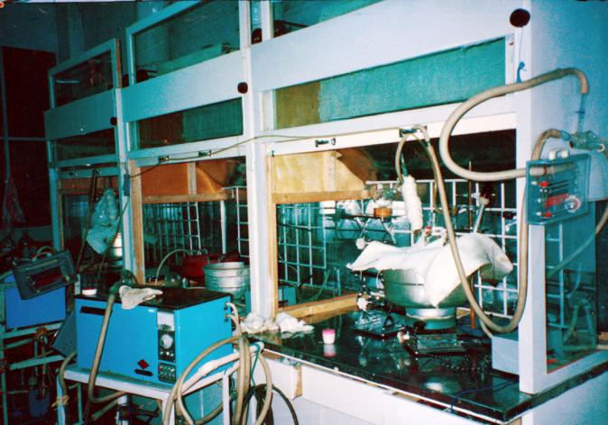 k豆钱包官方网站 - KDpay钱包