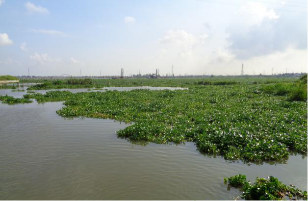 k豆钱包官方网站 - KDpay钱包