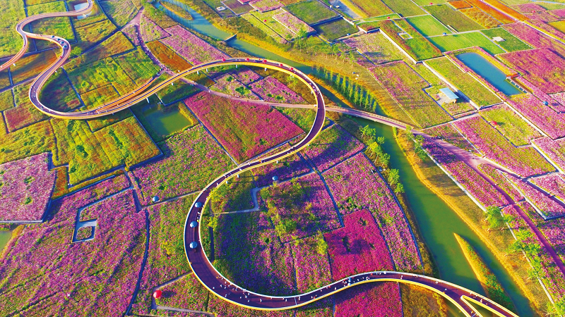 26dc2507e9554d728dc7a06206d579ce